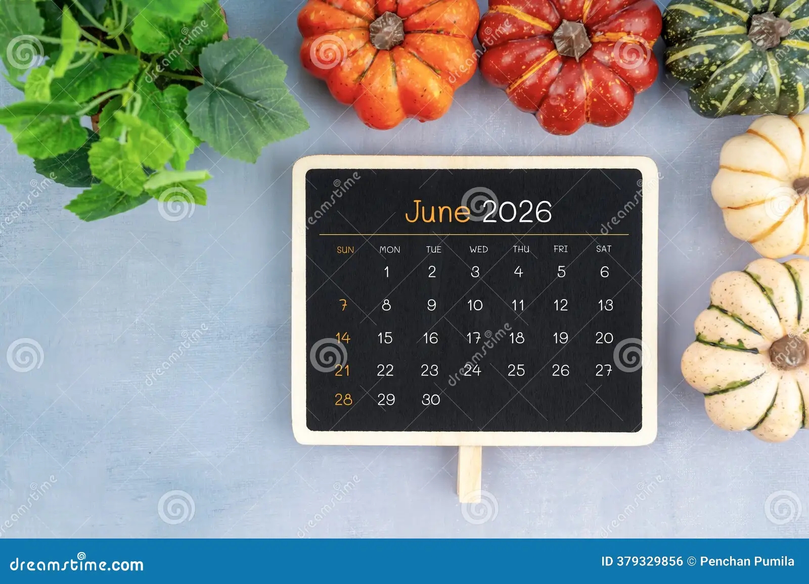 June Calendar 2026 Wallpaper