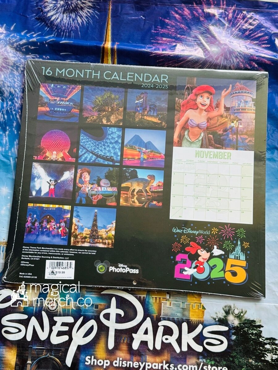 Disney Calendar November 2025