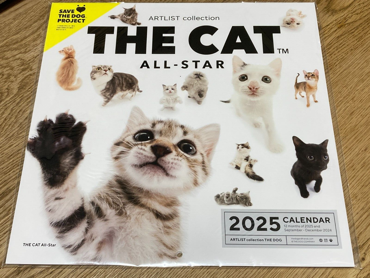 2025 Wall Calendar THE CAT ALL STAR ALLSTAR Cats ARTLIST Collection From Japan EBay 2025 Wall Calendar THE CAT ALL STAR ALLSTAR Cats ARTLIST Collection From Japan EBay