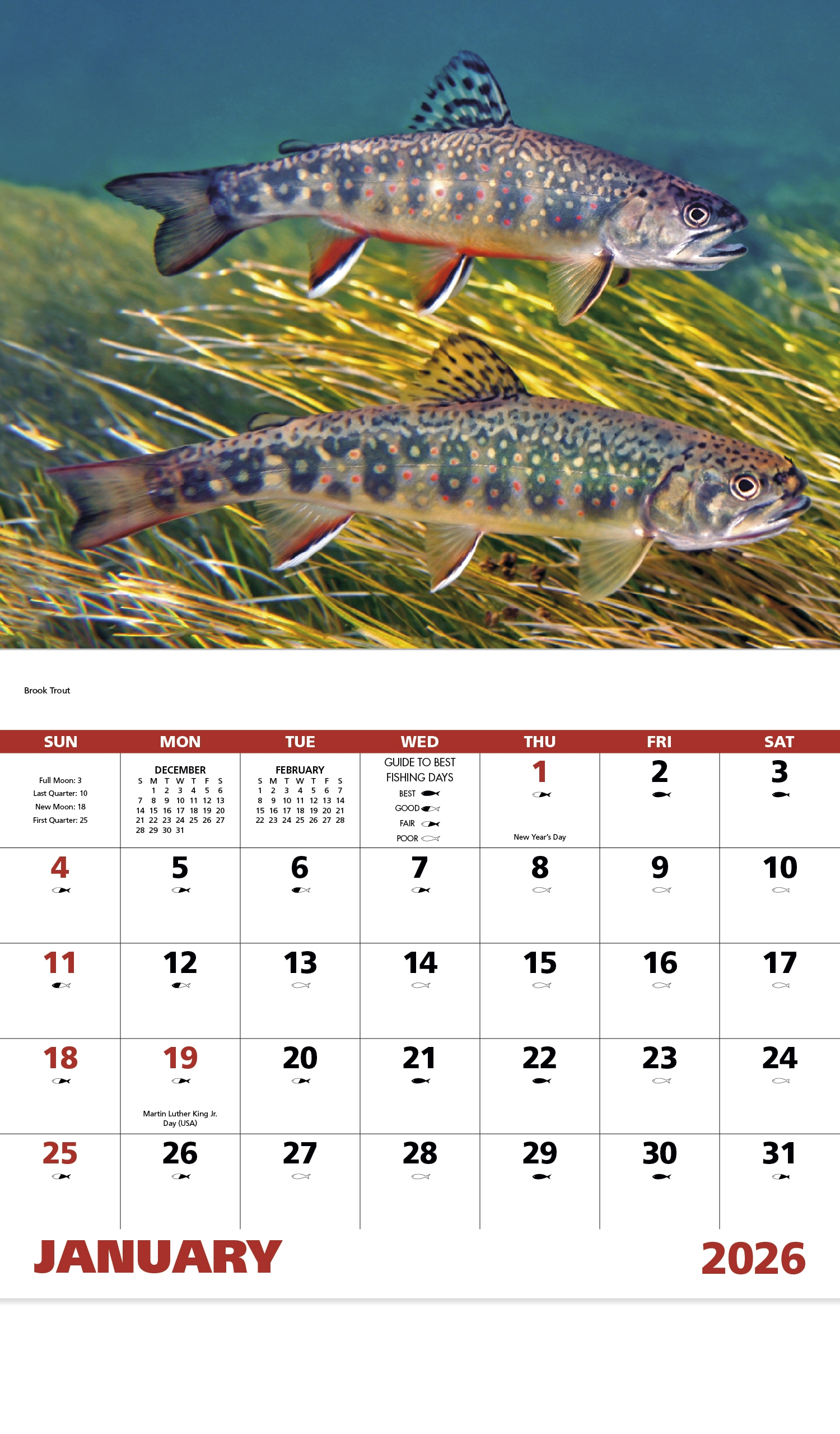 2026 Fishing Calendar 11 X 19 Imprinted Staple Bound Drop Ad Imprint Calendars 2026 Fishing Calendar 11 X 19 Imprinted Staple Bound Drop Ad Imprint Calendars