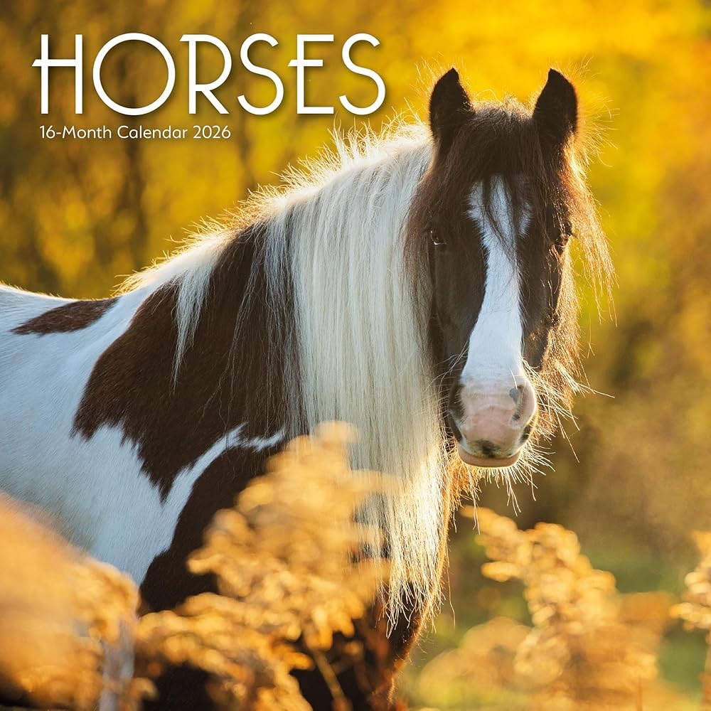 2026 Horses Wall Calendar Carousel Calendars 9781529897142 Amazon Books 2026 Horses Wall Calendar Carousel Calendars 9781529897142 Amazon Books