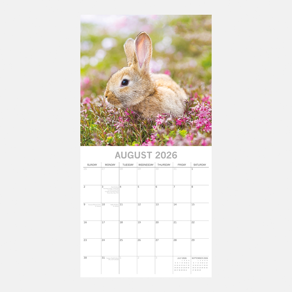 2026 Square Wall Calendar Cute Bunnies Wholesale Stationery