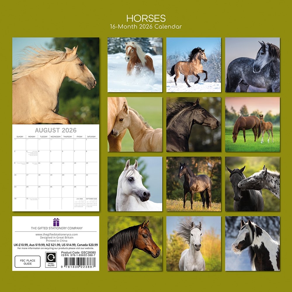 2026 Square Wall Calendar Horses Wholesale Stationery