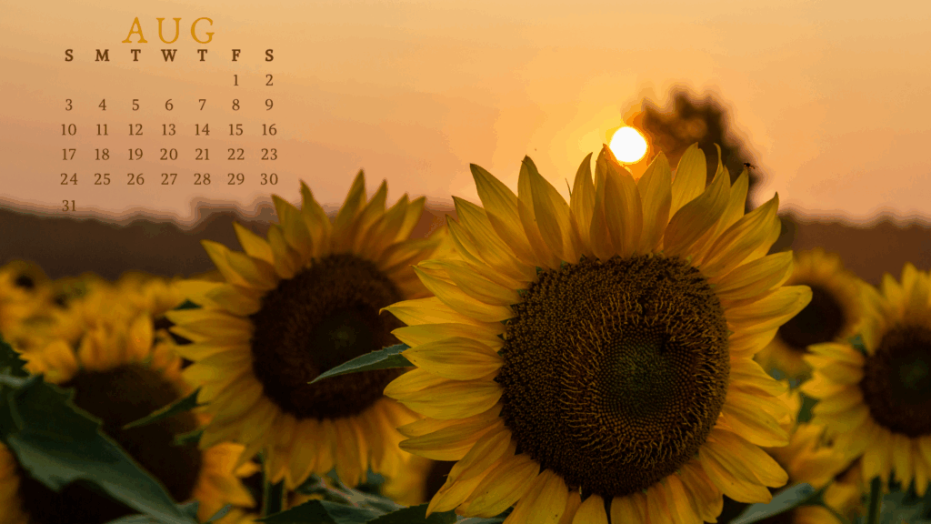 30 Free August 2025 Desktop Calendar Backgrounds EASY DOWNLOAD