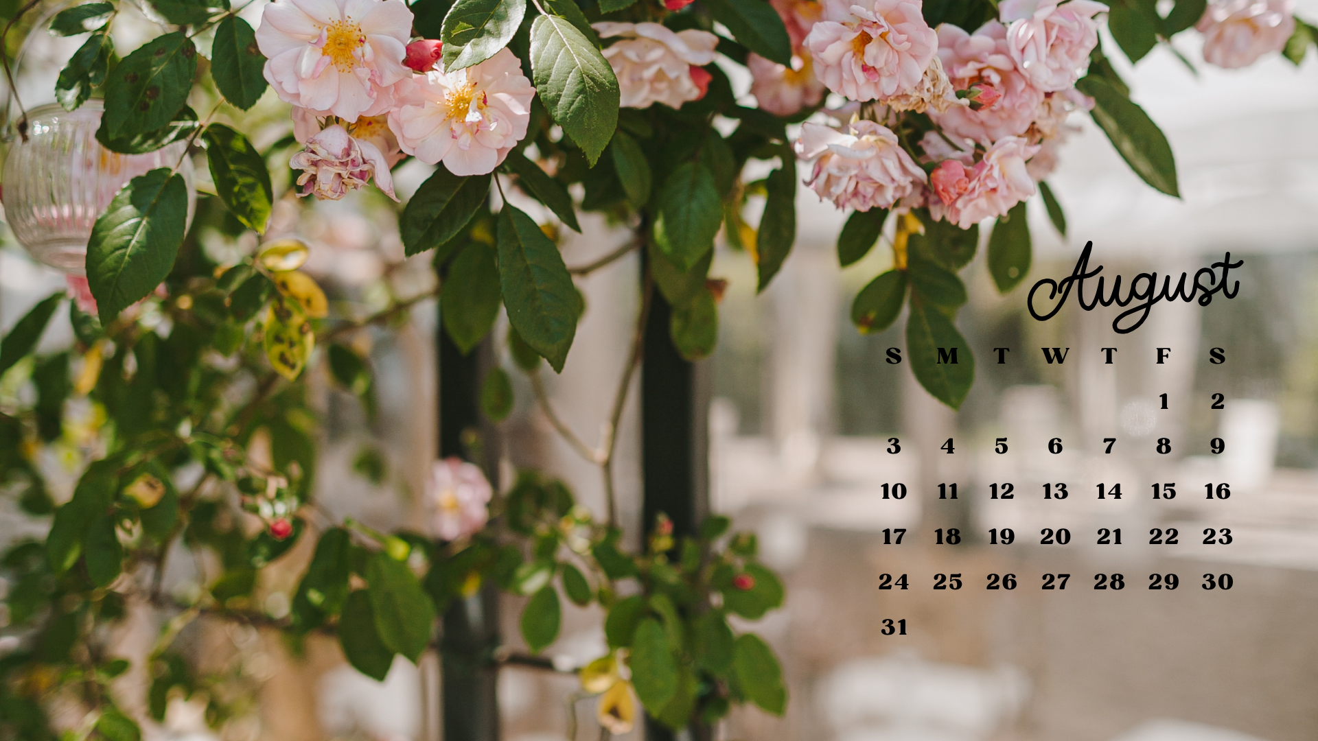 30 Free August 2025 Desktop Calendar Backgrounds EASY DOWNLOAD 