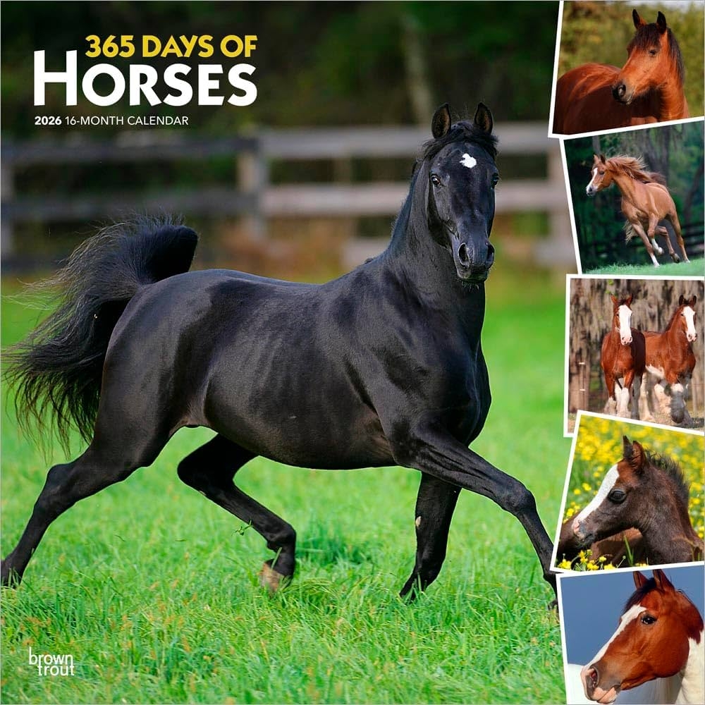 March 2026 Horse Calendar March 2026 Horse Calendar