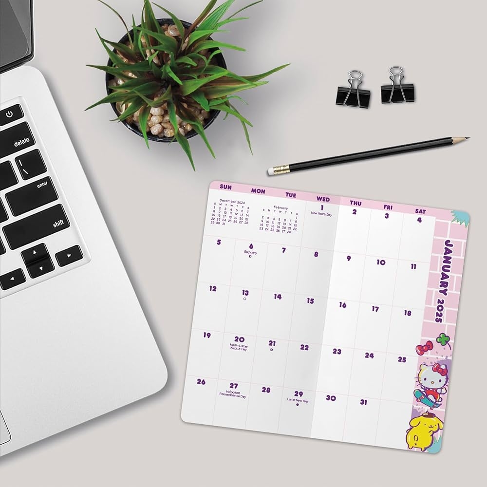 Amazon 2025 2026 Hello Kitty Pocket Planner 9798888280294 Trends International Books