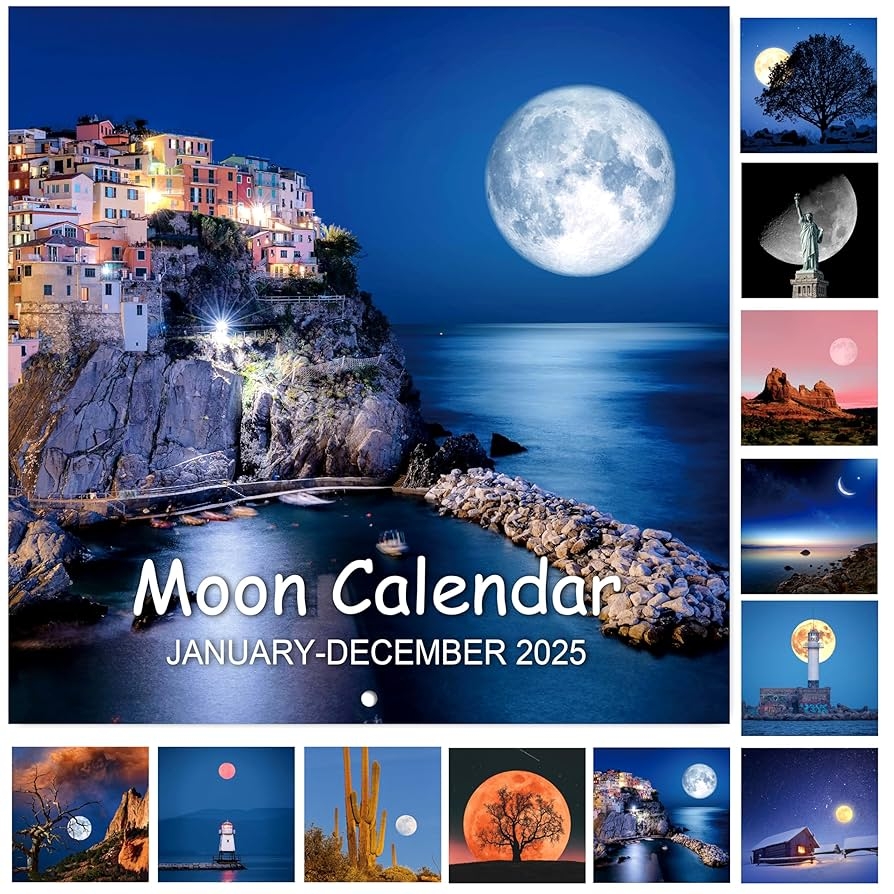 Amazon 2025 Calendar Wall Calendar 2025 Jan 2025 Dec 2025 12 X 24 Open 12 Month Wall Calendar Perfect For Office Home Moon Office Products