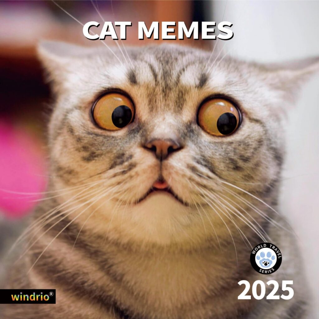 Amazon 2025 Wall Calendar Funny Calendar 2025 January 2025 December 2025 Wall Calendar Funny Animal Memes 12 X 24 Opened Full Page 12 Months Thick Paper For Gift Calendar Organizing Planning Office Products