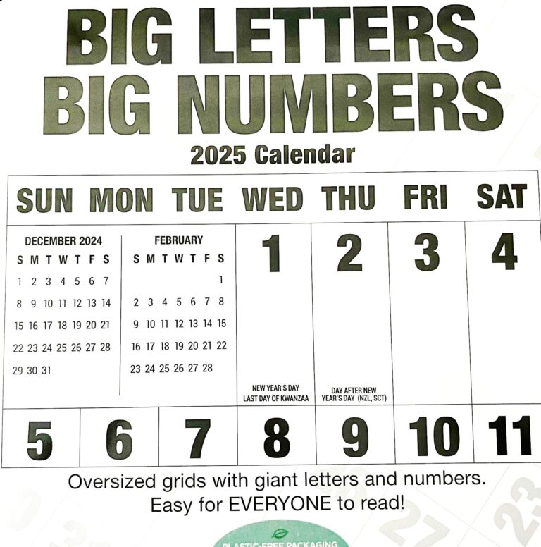 Amazon BIG LETTERS BIG NUMBERS Wall Calendar 2025 Size 12 X 12 Office Products