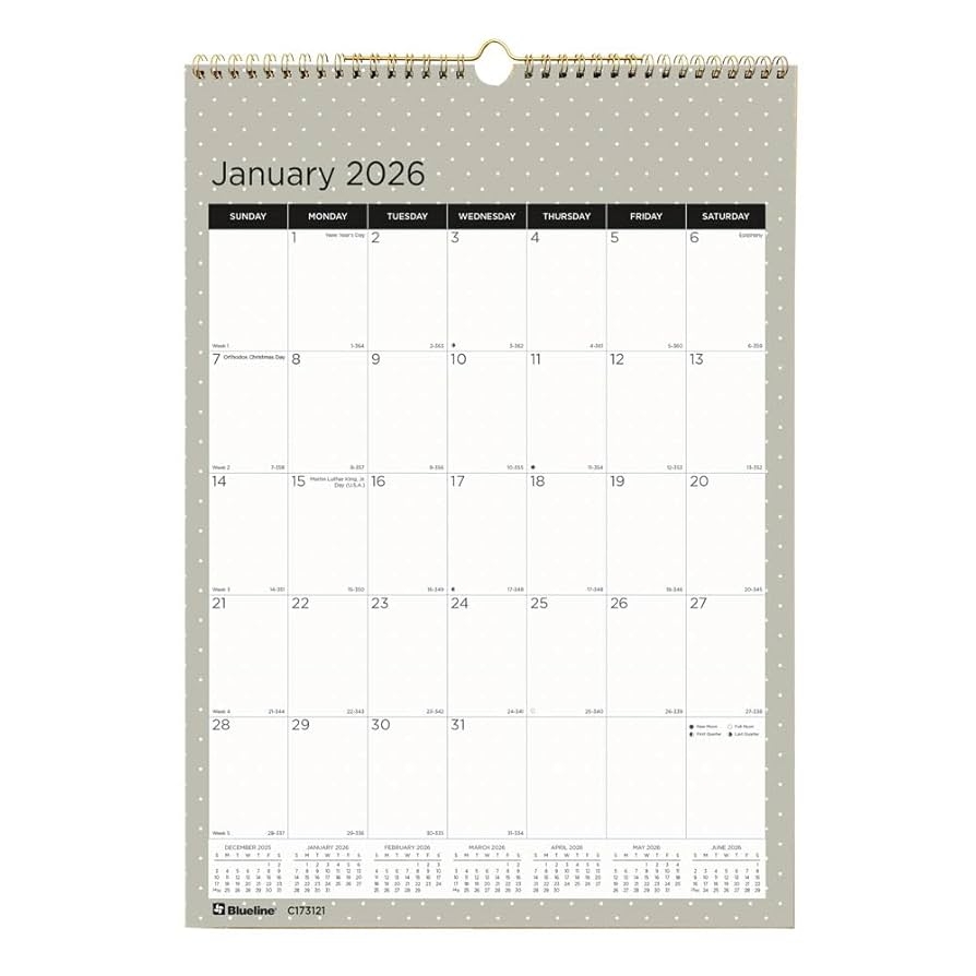 Amazon Blueline 2026 Colorful Monthly Wall Calendar 12 Months January To December Gold Twin Wire Binding 12 X 17 Minimalist C173121 26 Office Products