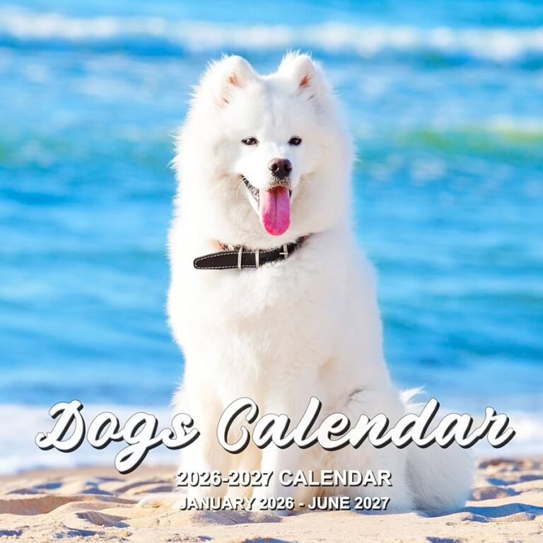 Amazon Calendar 2025 2026 18 Month Wall Calendar 2025 2026 JUL 2025 DEC 2026 2025 2026 Wall Calendar Large Blocks Calendar Wall For School Home Office Organizing Planning 12 X 24 open Office Products