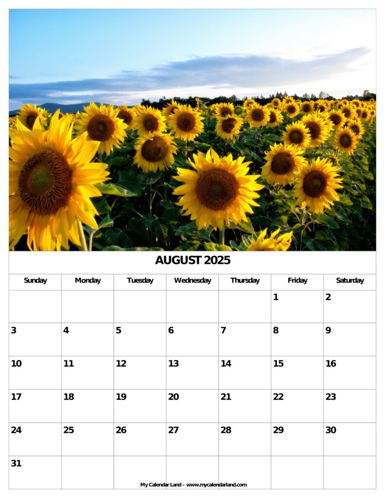 August 2025 Calendar My Calendar Land