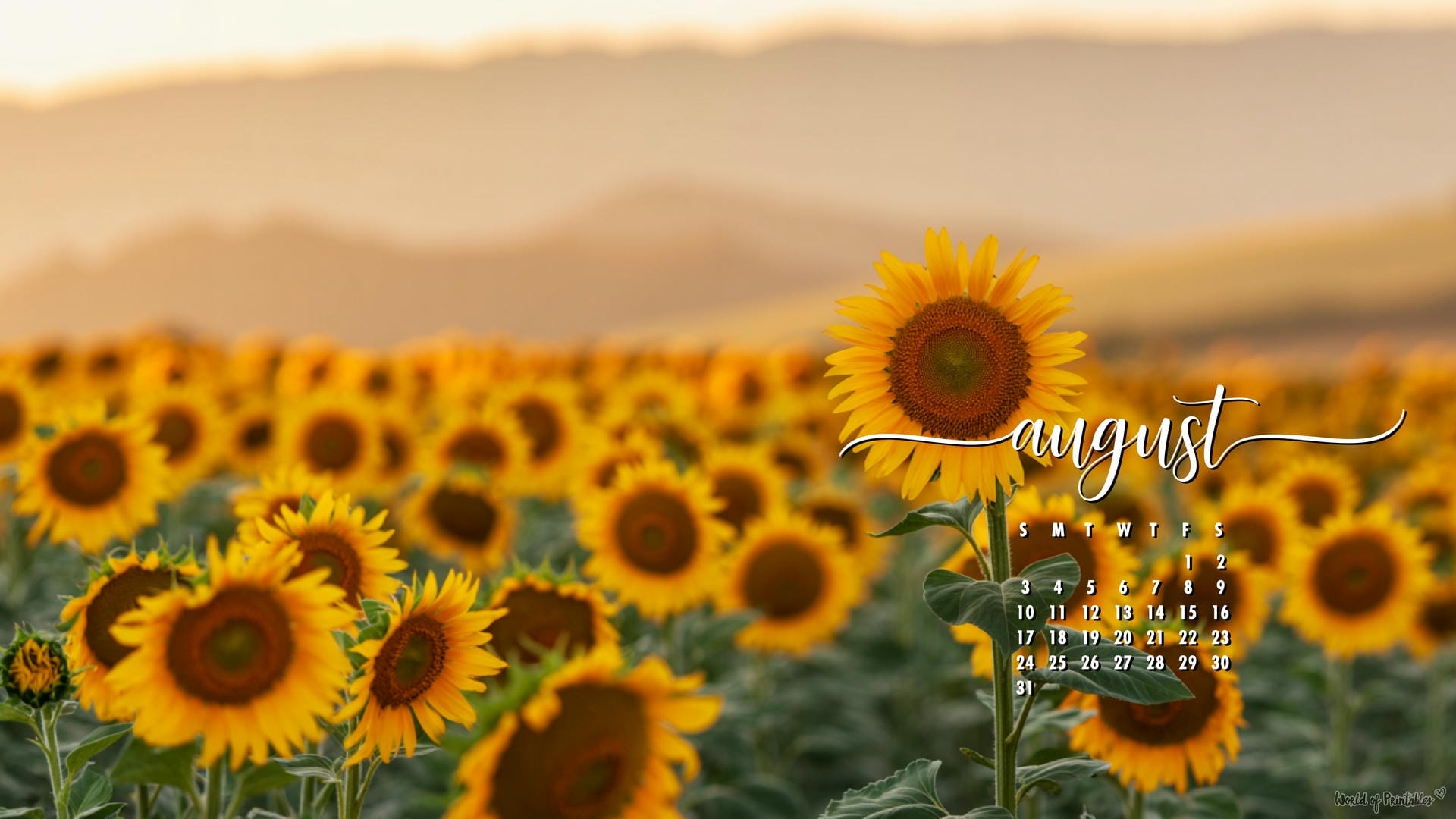August Calendar 2025 Wallpaper