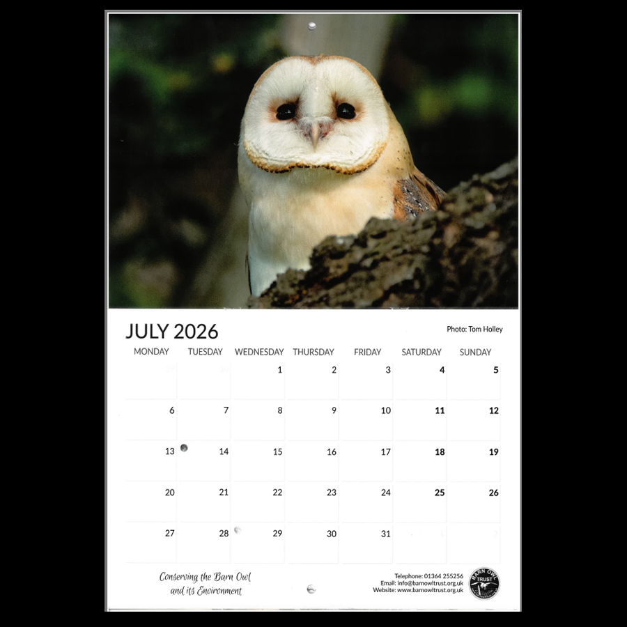 Barn Owl Calendar 2026 The Barn Owl Trust