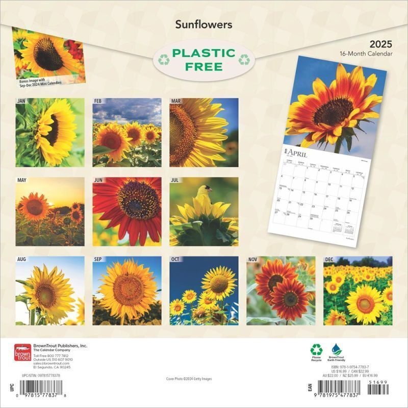 Browntrout Sunflowers 2025 12 X 12 Wall Calendar W EBay