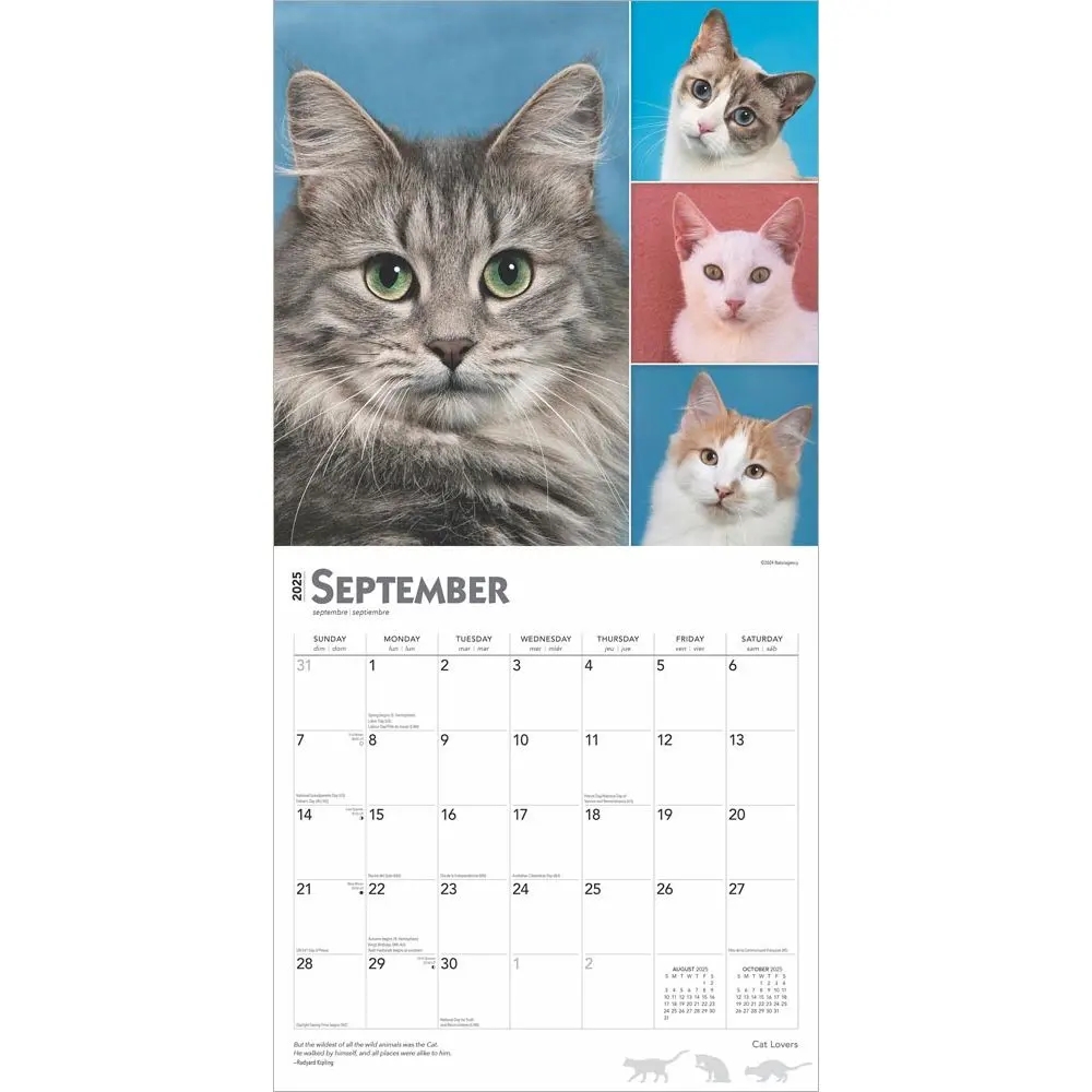 Cat Lovers 2025 Wall Calendar Calendars