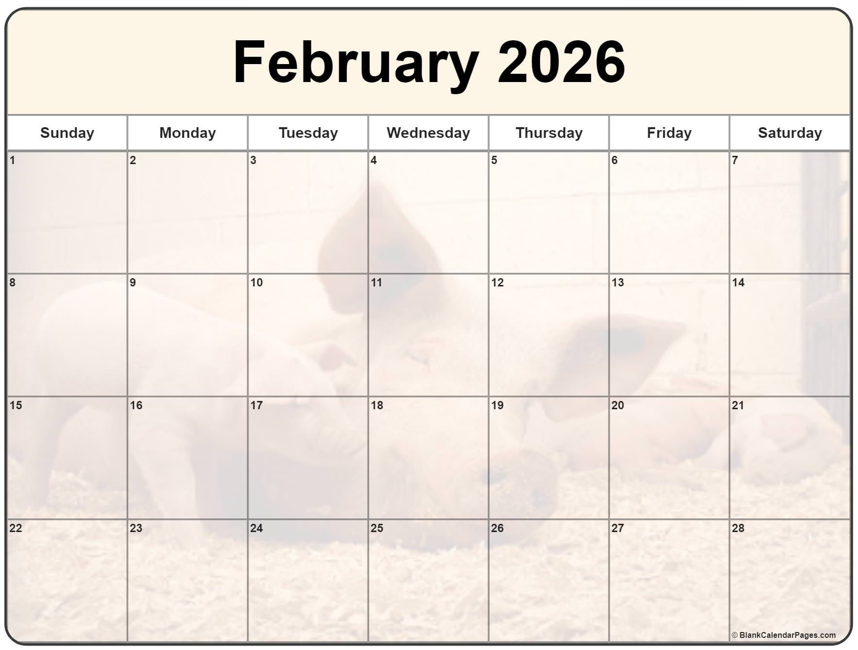 Collection Of February 2026 Photo Calendars With Image Filters Collection Of February 2026 Photo Calendars With Image Filters