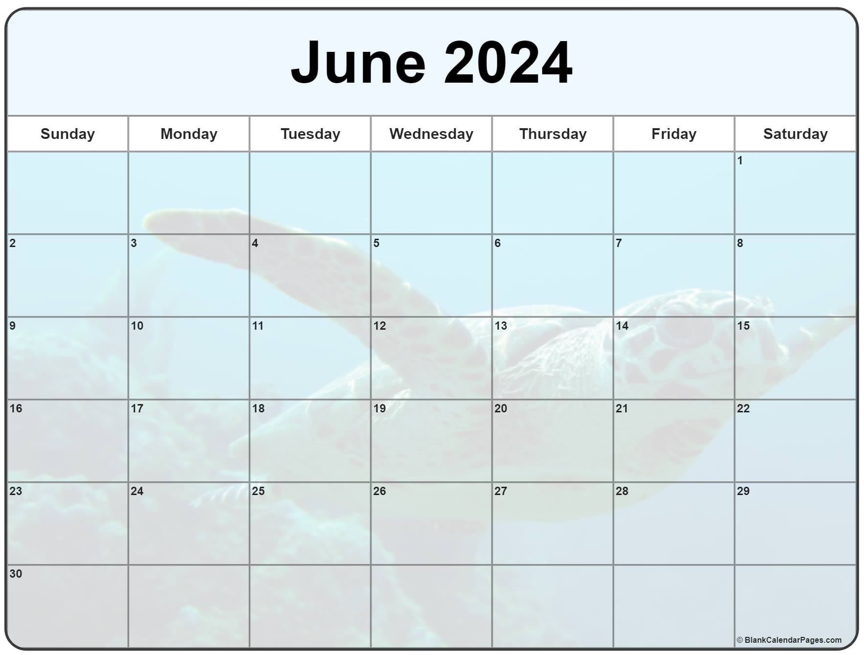 Collection Of June 2024 Photo Calendars With Image Filters 
