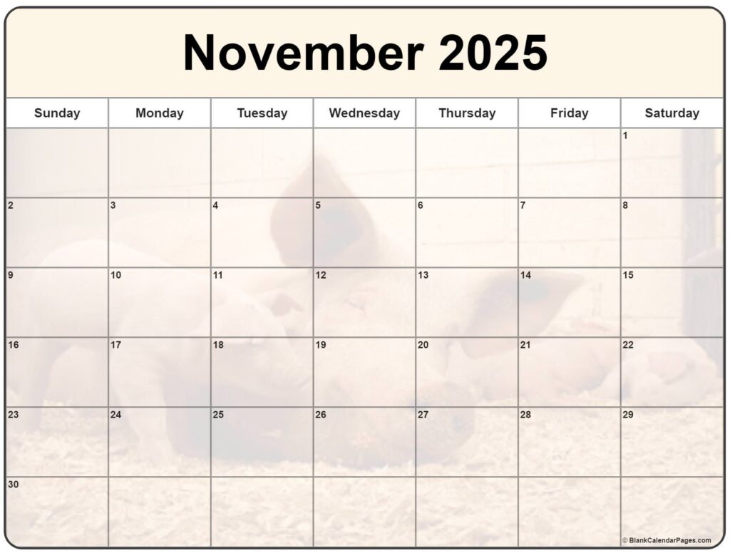 Collection Of November 2025 Photo Calendars With Image Filters