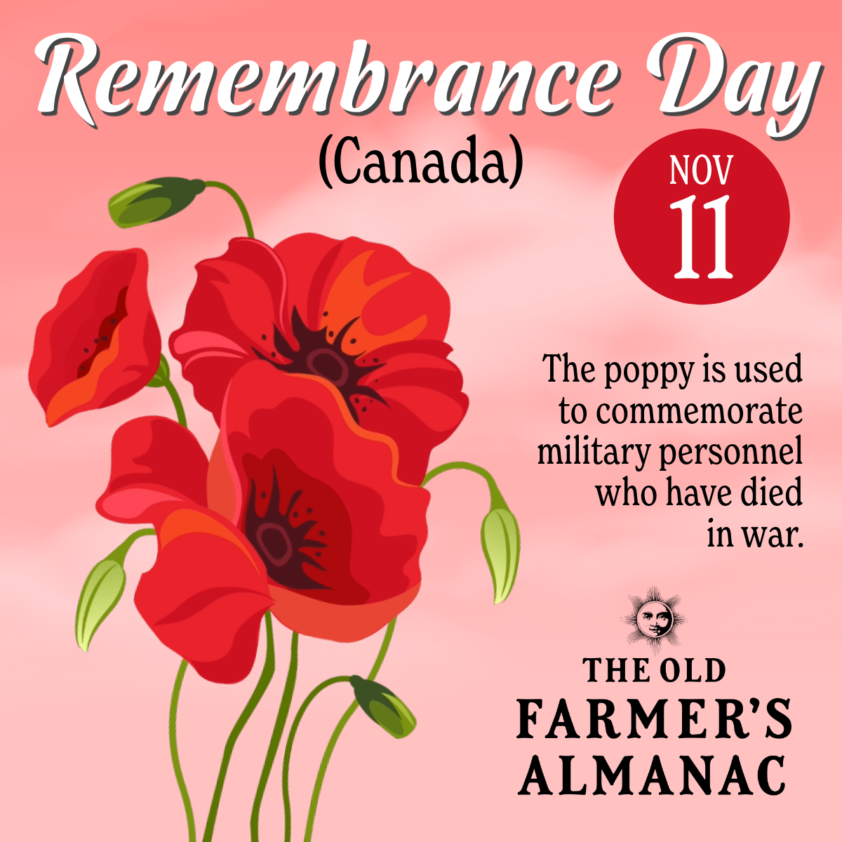 November 2025 Daily Calendar November 2025 Daily Calendar