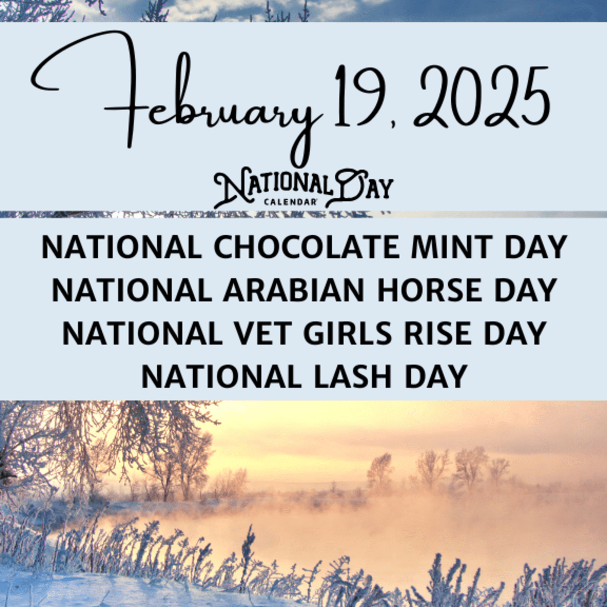 FEBRUARY 19 2025 NATIONAL CHOCOLATE MINT DAY NATIONAL ARABIAN HORSE DAY NATIONAL VET GIRLS RISE DAY NATIONAL LASH DAY National Day Calendar