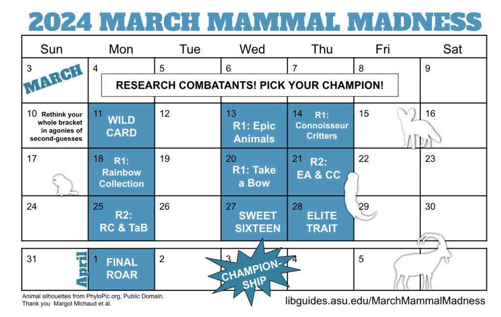 LibGuides March Mammal Madness