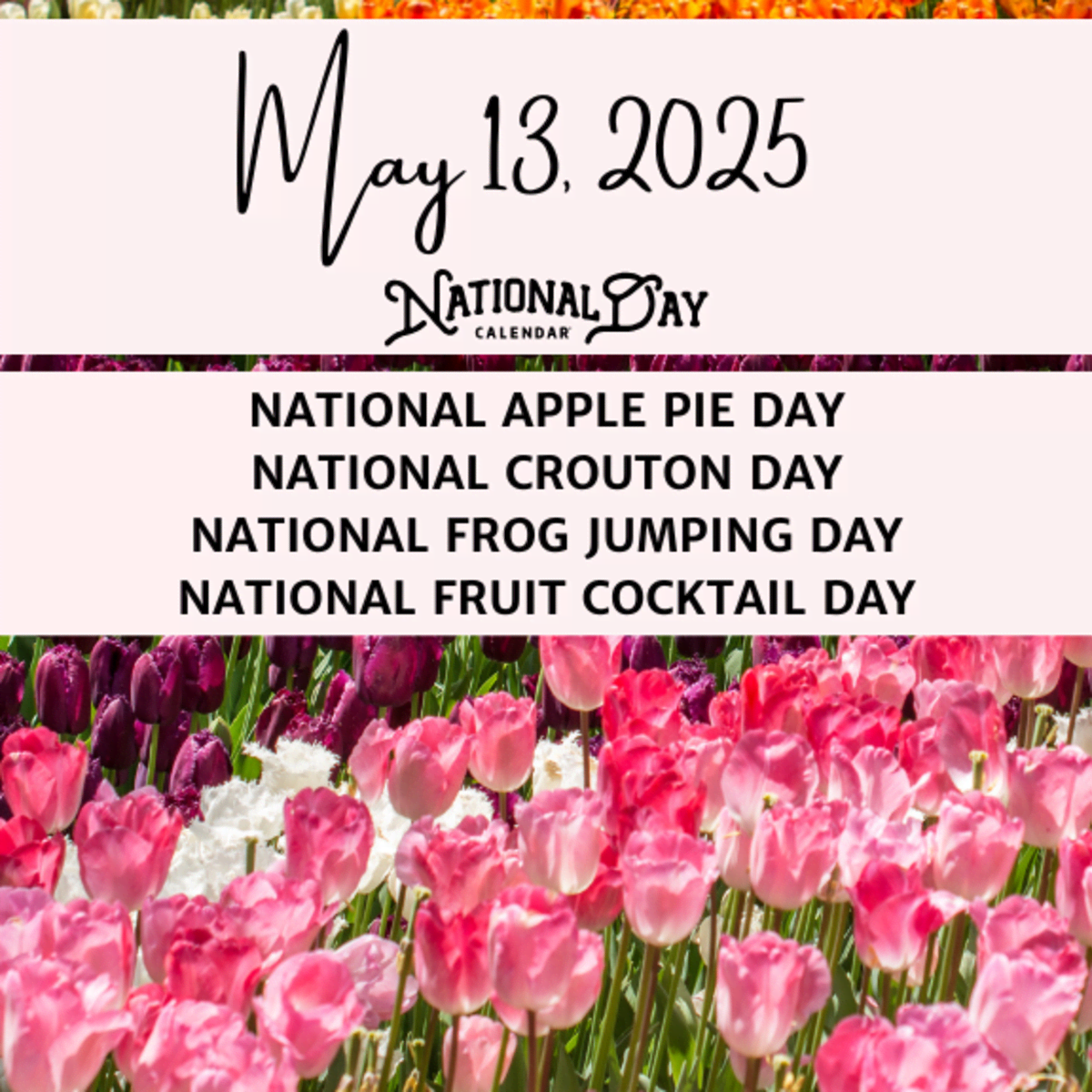 MAY 13 2025 NATIONAL APPLE PIE DAY NATIONAL CROUTON DAY NATIONAL FROG JUMPING DAY NATIONAL FRUIT COCKTAIL DAY National Day Calendar MAY 13 2025 NATIONAL APPLE PIE DAY NATIONAL CROUTON DAY NATIONAL FROG JUMPING DAY NATIONAL FRUIT COCKTAIL DAY National Day Calendar