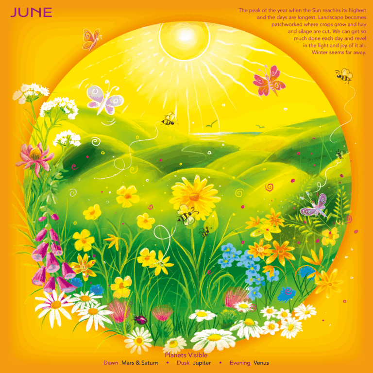 Moon Calendar 2026 Phases Of The Moon Lunar Cycle