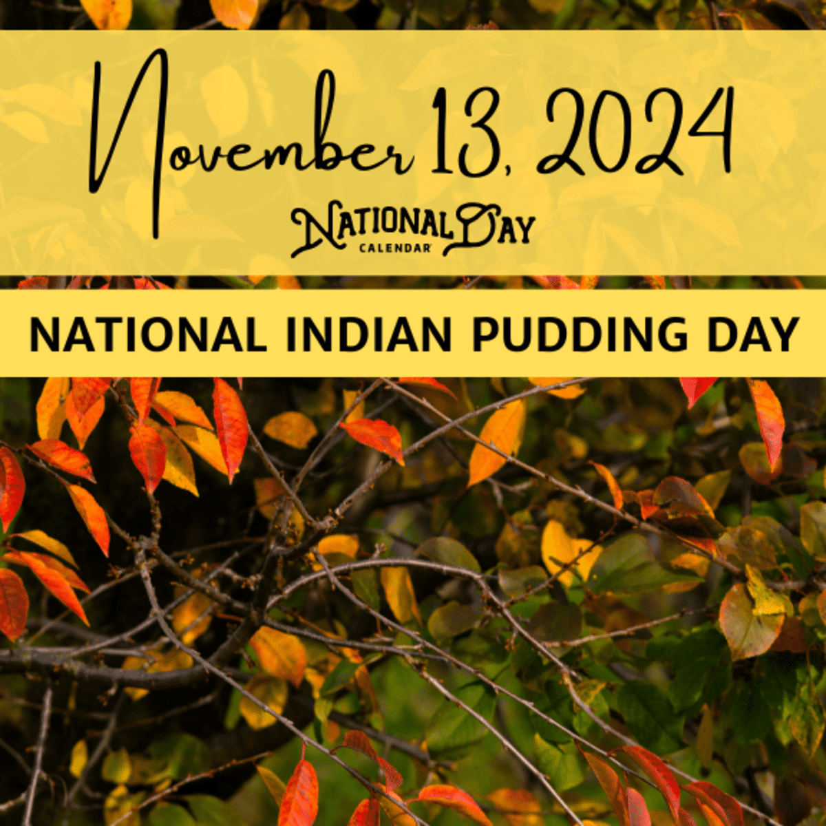 NOVEMBER 13 2024 NATIONAL INDIAN PUDDING DAY National Day Calendar NOVEMBER 13 2024 NATIONAL INDIAN PUDDING DAY National Day Calendar