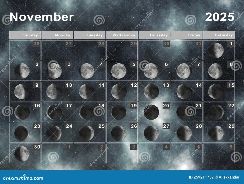 November 2025 Lunar Calendar Moon Cycles Stock Illustration Illustration Of Phases Astronomy 259211752