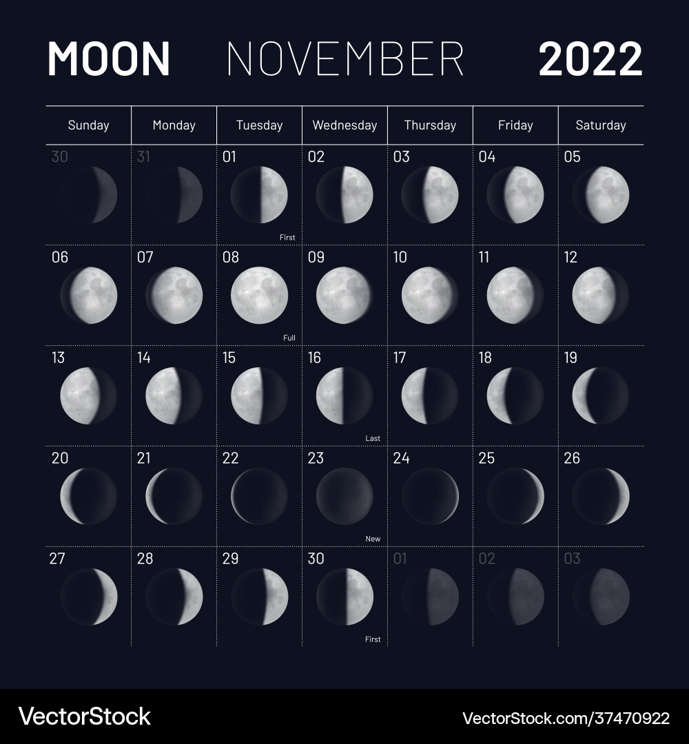 November Moon Calendar 2022 Night Sky Royalty Free Vector