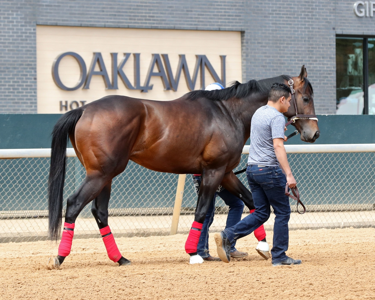 Horse Racing Calendar May 2026 Horse Racing Calendar May 2026