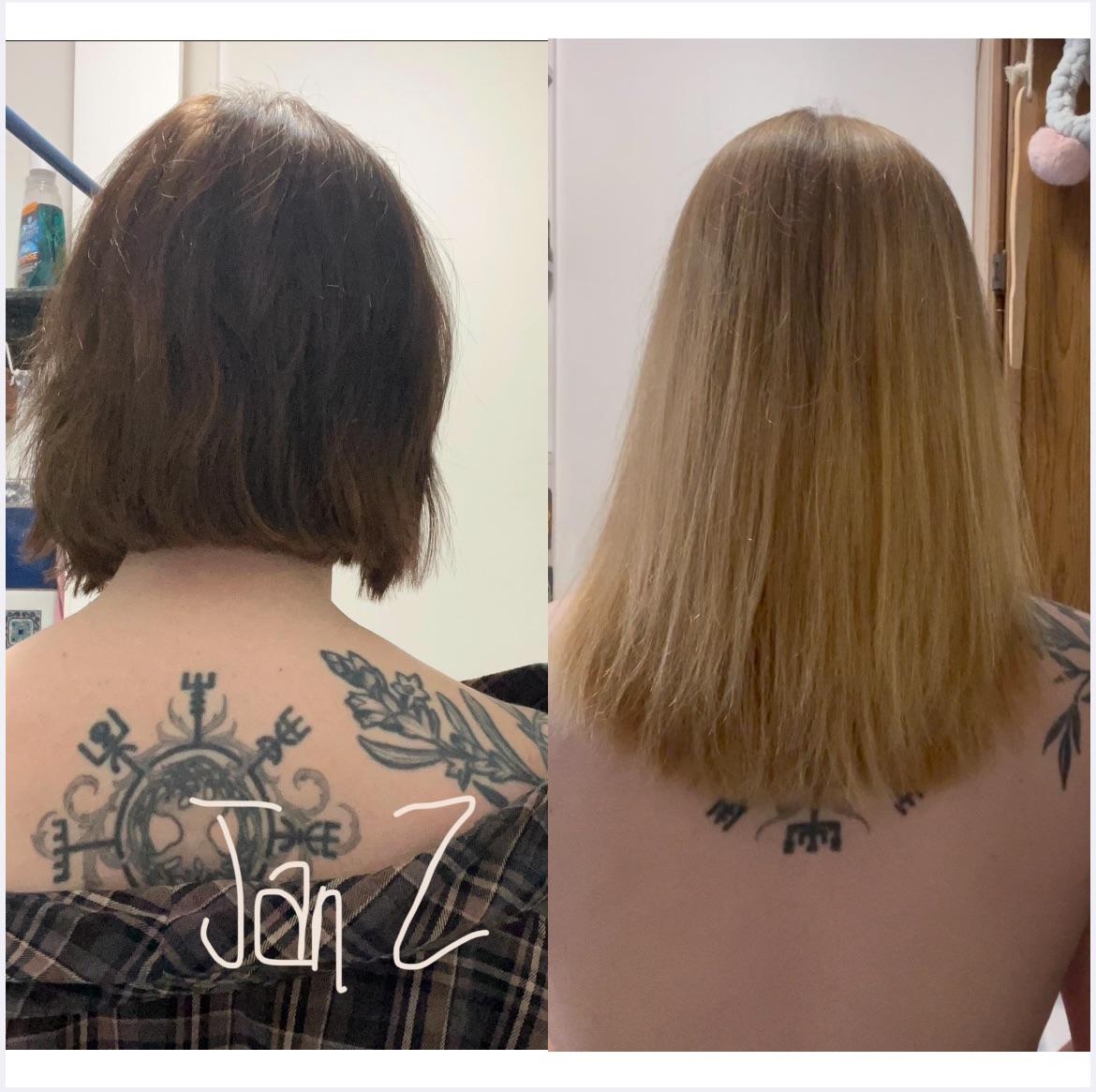 One Year Of Growth Chin To Almost Armpit In A Calendar Year R longhair