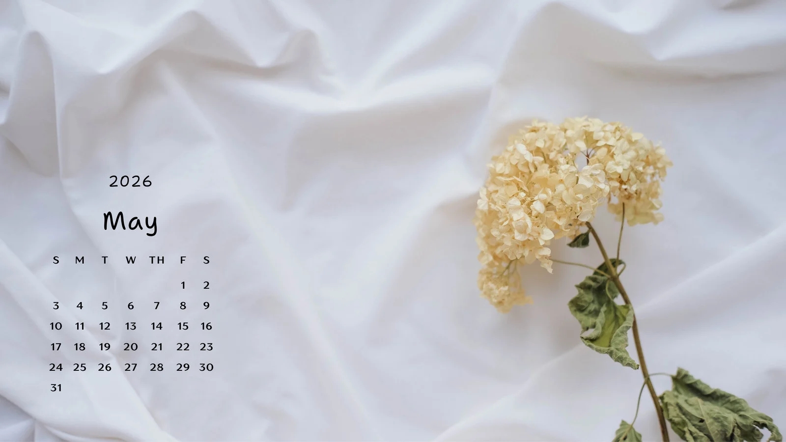 Page 15 Free And Customizable Floral Desktop Wallpaper Templates Canva Page 15 Free And Customizable Floral Desktop Wallpaper Templates Canva