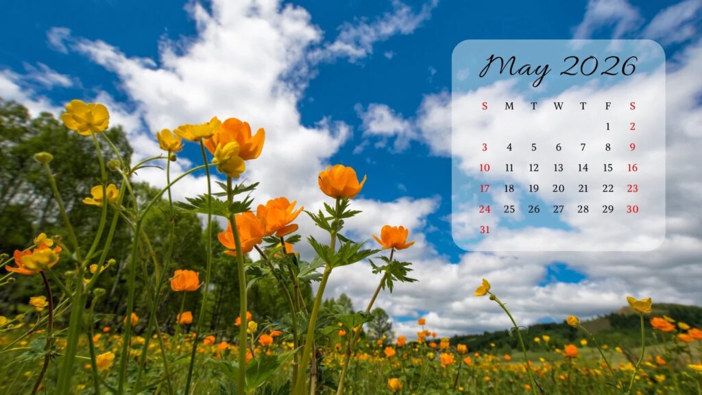 Page 19 Free Simple Background Desktop Wallpaper Templates Canva