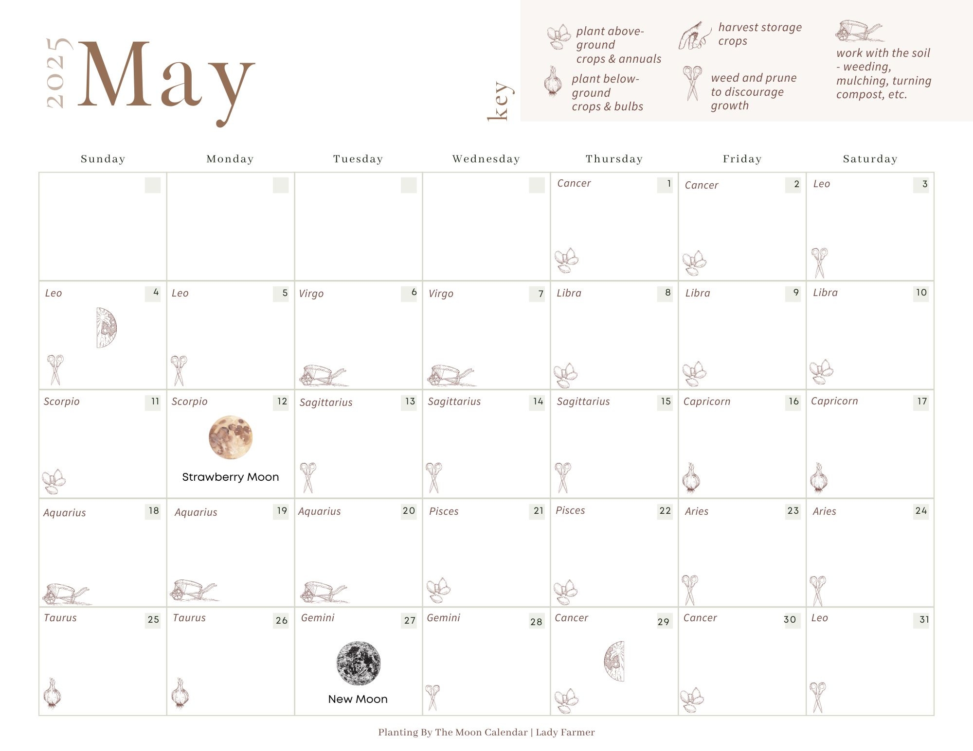 Lunar Calendar 2025 November