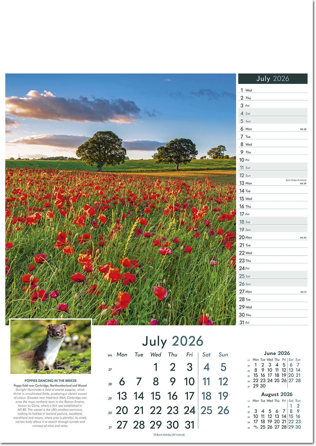 Rural Britain Promotional Wall Calendar 2026 Rose Calendars