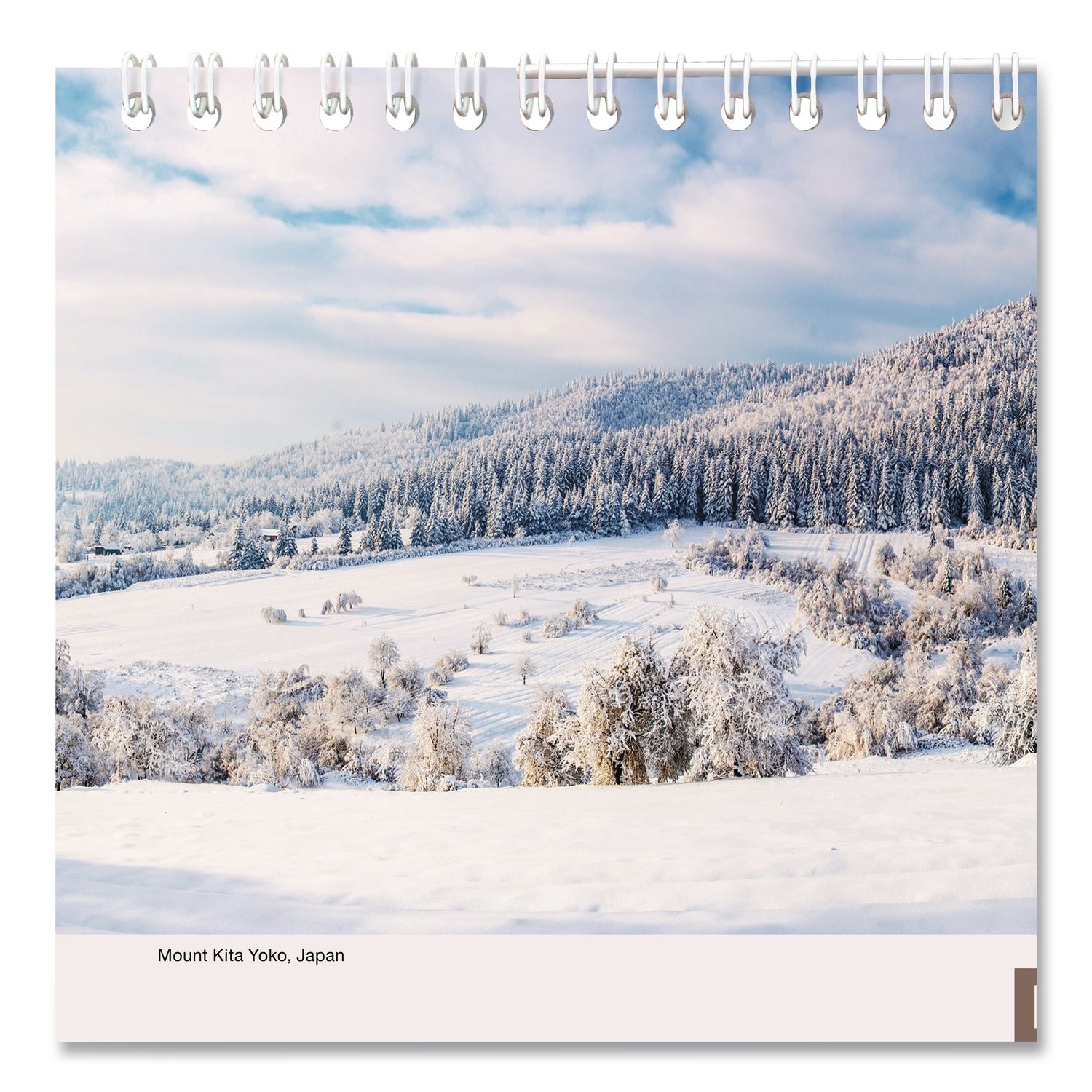 January 2026 Calendar Winter January 2026 Calendar Winter