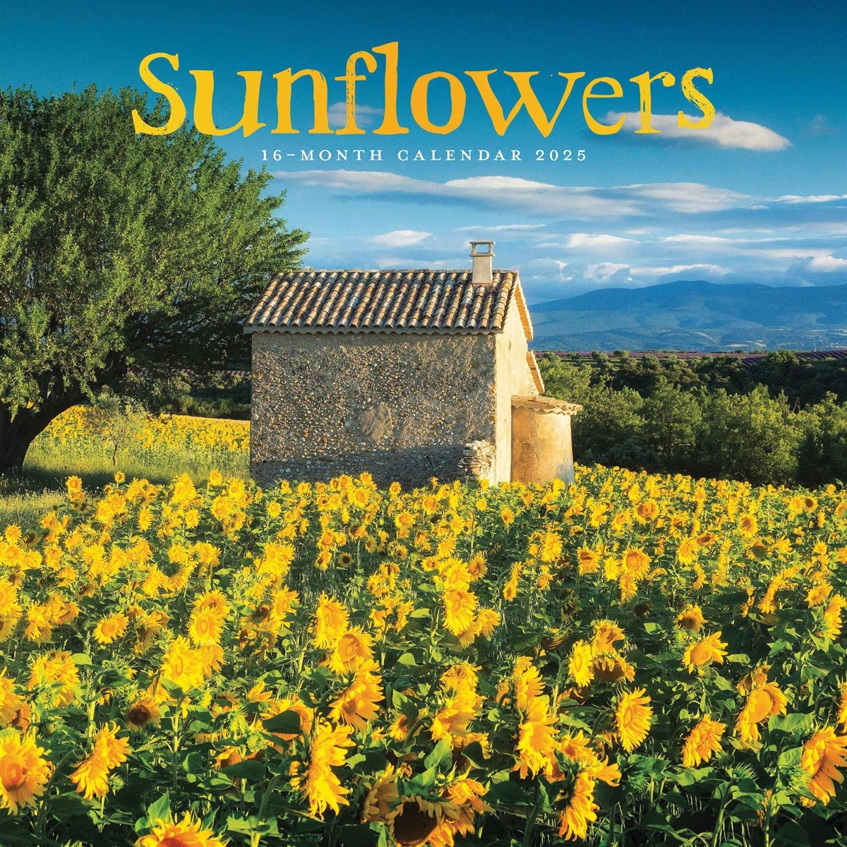 August 2025 Calendar Sunflower