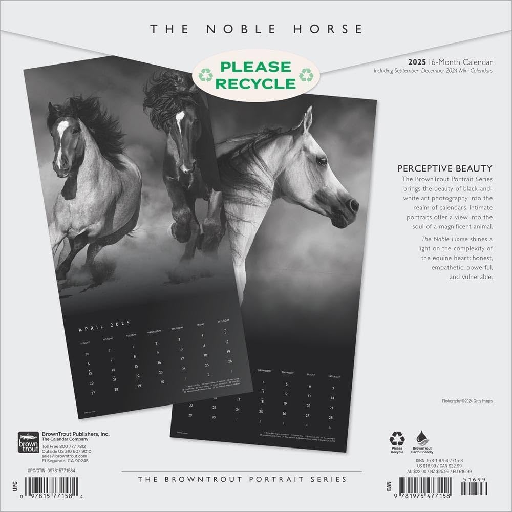 The BrownTrout Portrait Series The Noble Horse 2025 12 X 24 Inch Monthly Square Wall Calendar Pets Equestrian BrownTrout BrownTrout Publishers Inc 9781975477158 Amazon Books