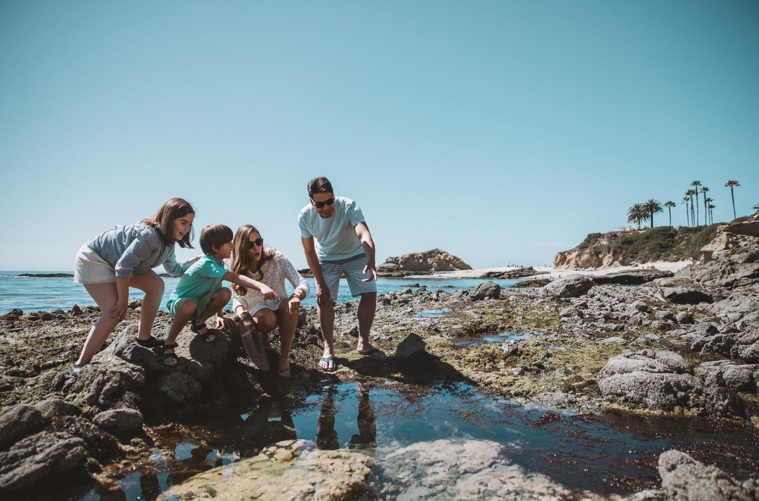 Top 100 Things To Do In Laguna Beach Visit Laguna Beach