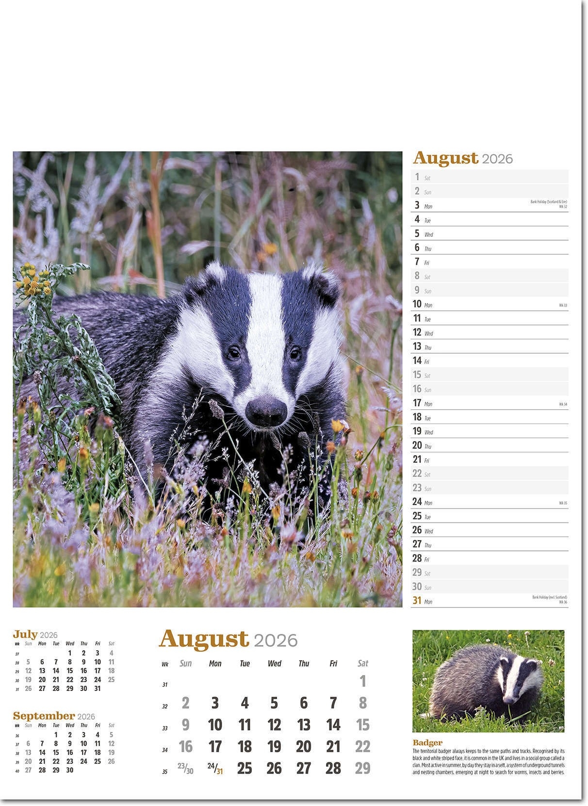 Wildlife In Britain Advertising Wall Calendar 2026 Rose Calendars
